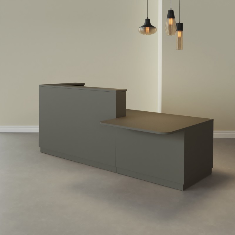 Banque d'Accueil PMR Duomo Graphite
