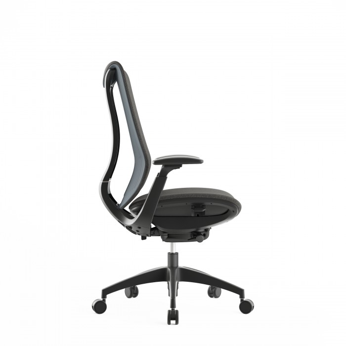 Chaise de bureau ergonomique Diana Plus