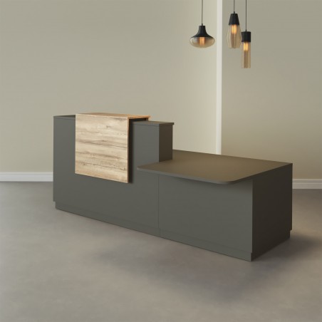 Banque PMR Duomo graphite partie supérieure châtain