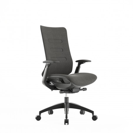 Chaise ergonomique de direction Diana Plus