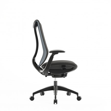 Chaise de bureau ergonomique Diana Plus