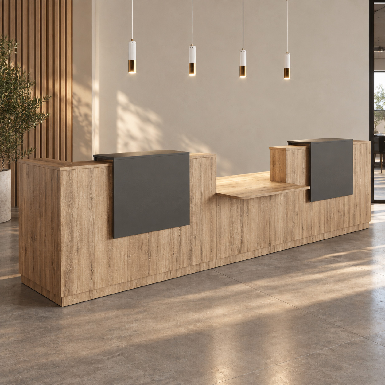 Banque d'accueil PMR Sotto