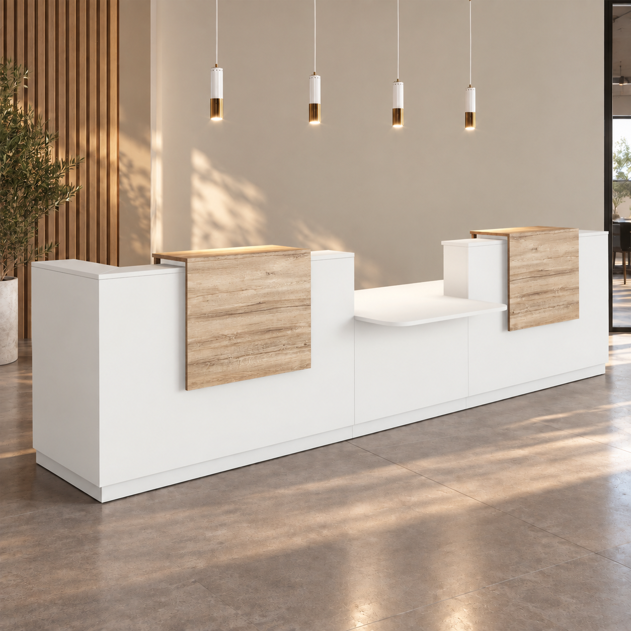 Banque d'accueil PMR Sotto